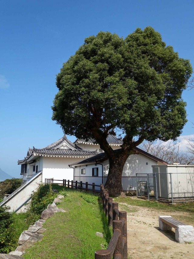 上段広場 1_edit