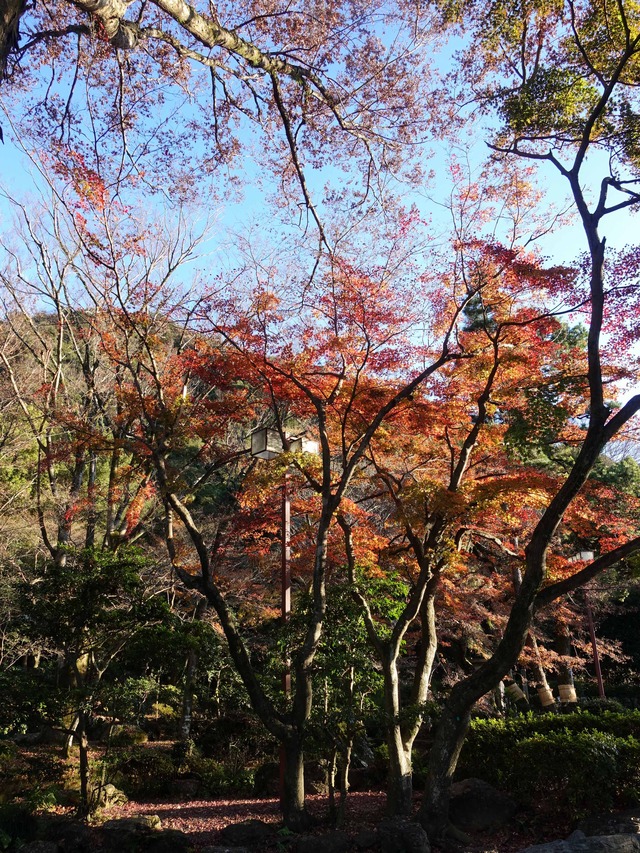 岐阜公園 7_edit