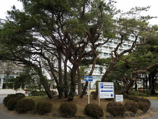 医学部正門 8_edit