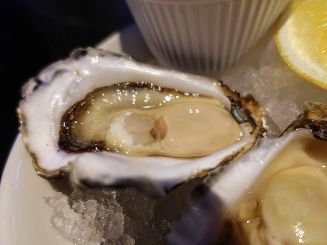Sydney Rock Oysters 4_edit