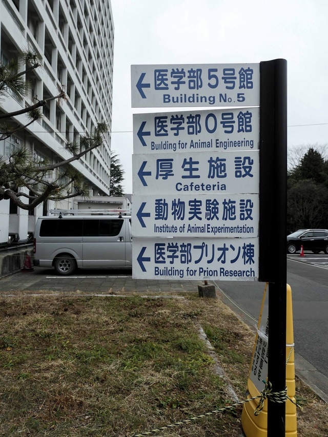 東北大学医学部 2_edit