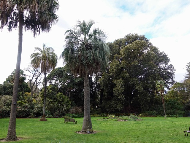 王立植物園 12_edit