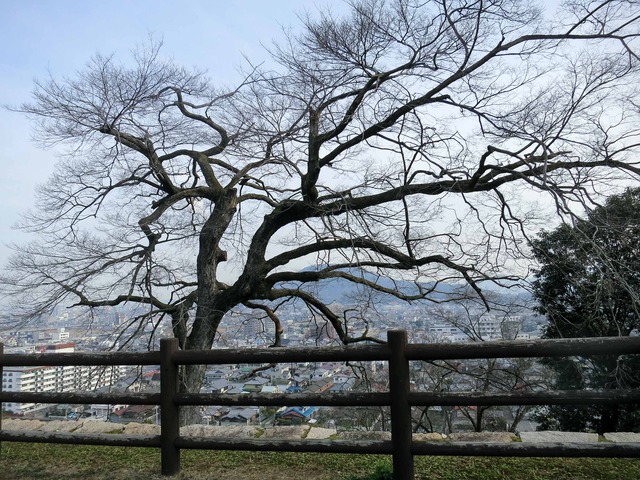 三の丸 3_edit