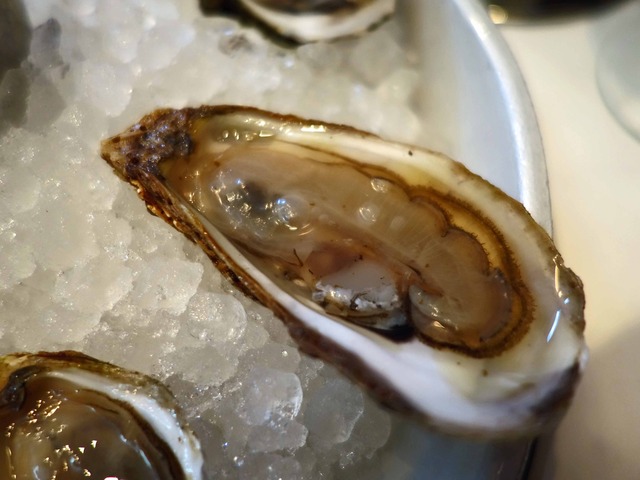 Fresh Oysters 7_edit