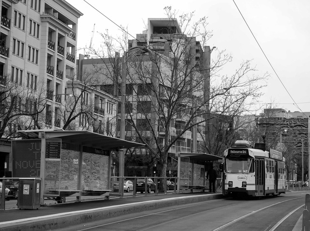 トラム(St Kilda Rd) 1_edit