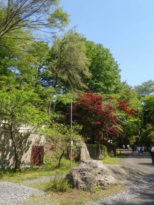 大谷資料館までの道のり 2_edit
