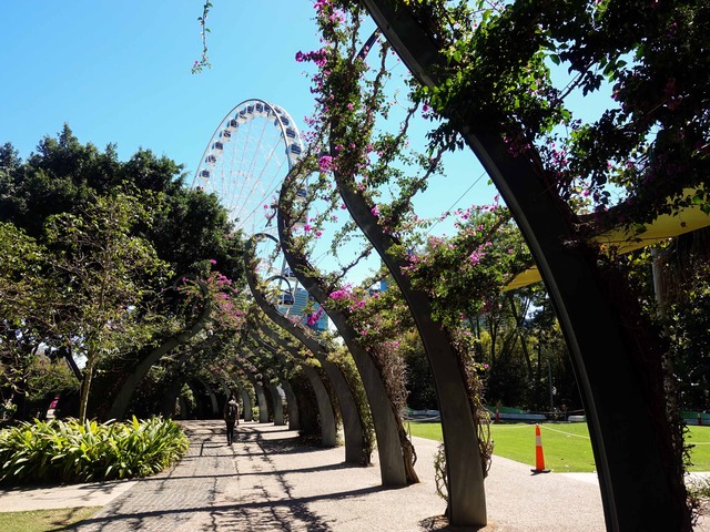 The Arbour_edit