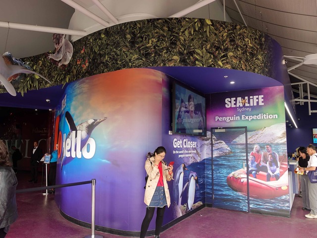 シーライフ・シドニー水族館 1_edit