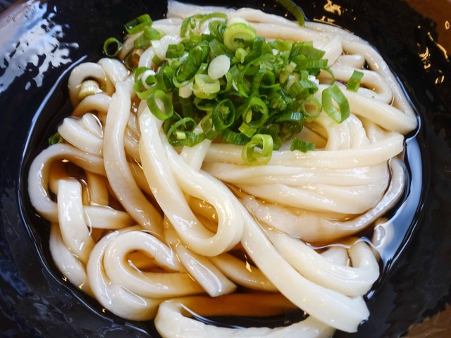 ぶっかけうどん冷 1_edit