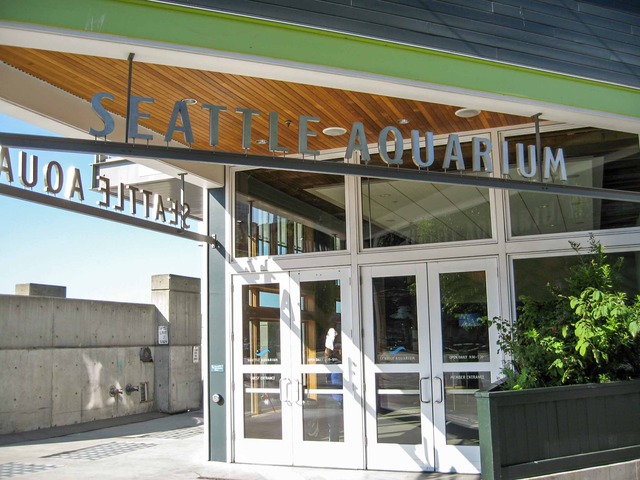 シアトル水族館 シアトル 食で奏でる旅の記憶 シアトル水族館 シアトル 食で奏でる旅の記憶