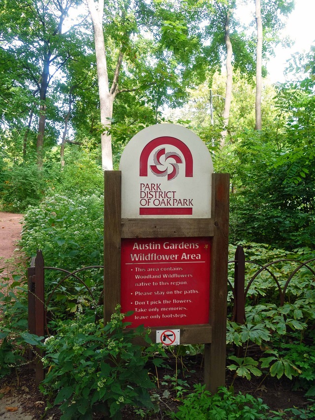 Austin Gardens Park 2_edit