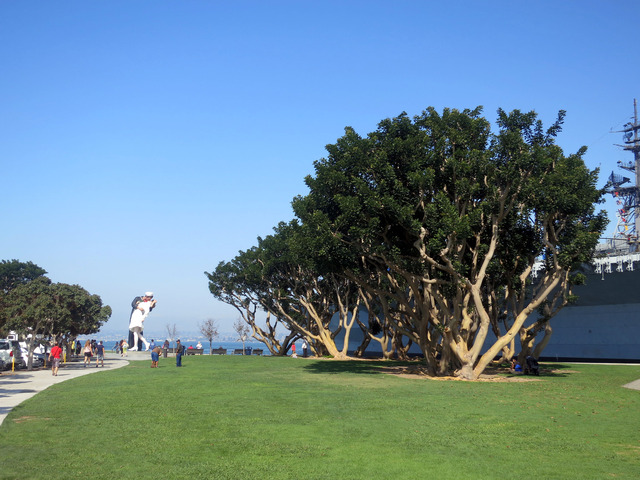 Tuna Harbor Park 1_edit