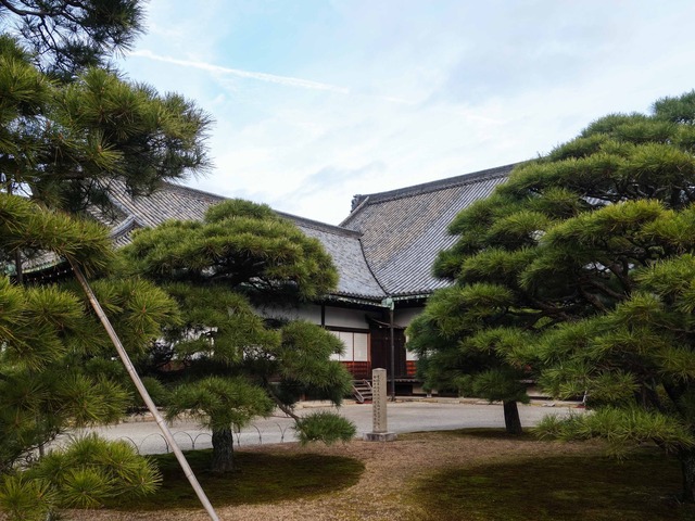 二の丸庭園 5_edit