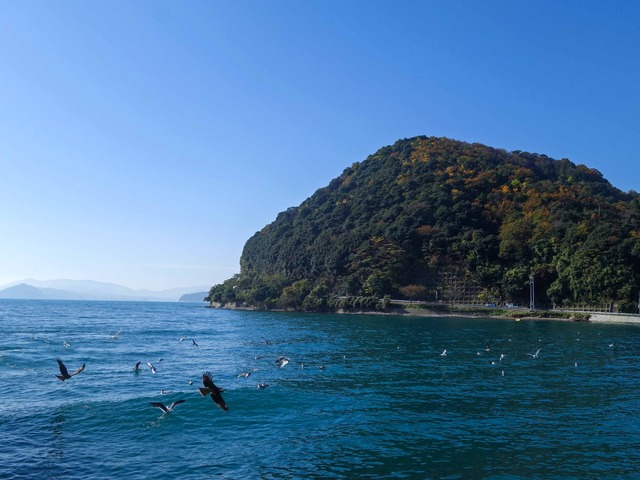 伊根湾 3_edit