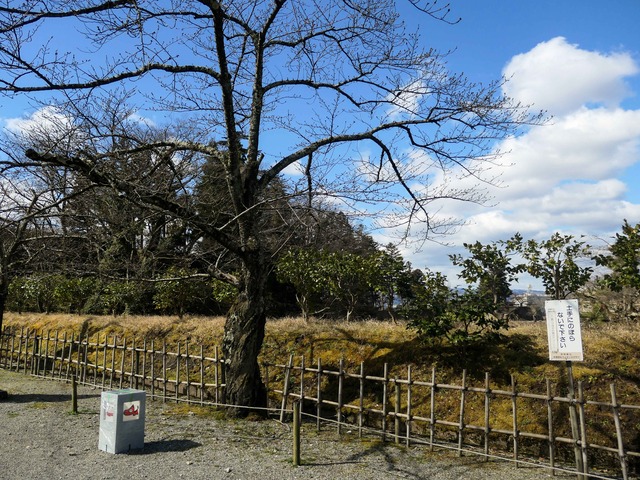 椿坂 2_edit