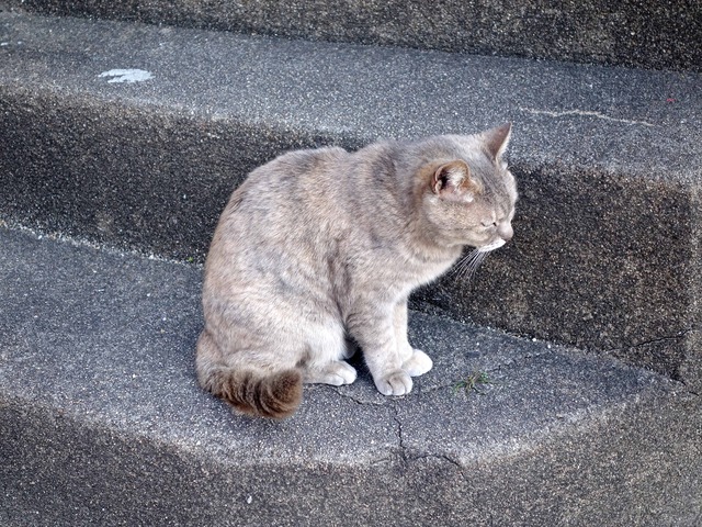 西土堂町 35_edit