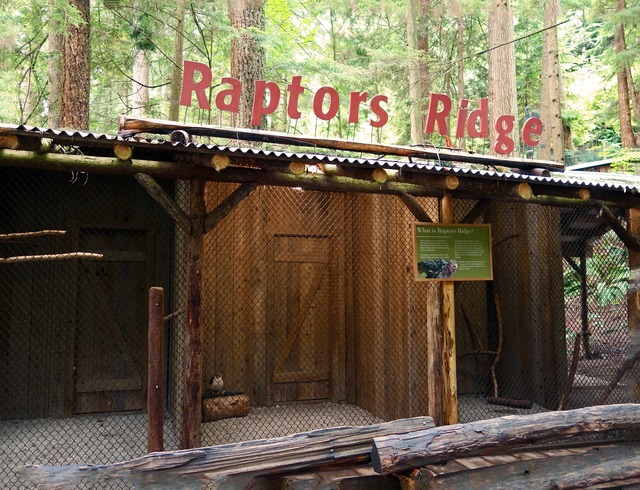 Raptors Ridge 2_edit