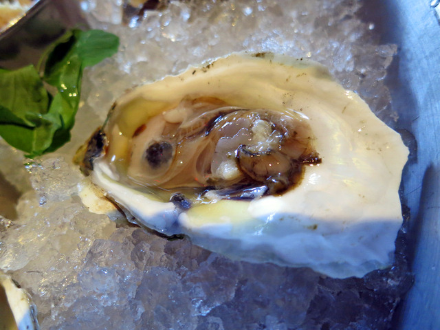 Oysters of the Day 4_edit