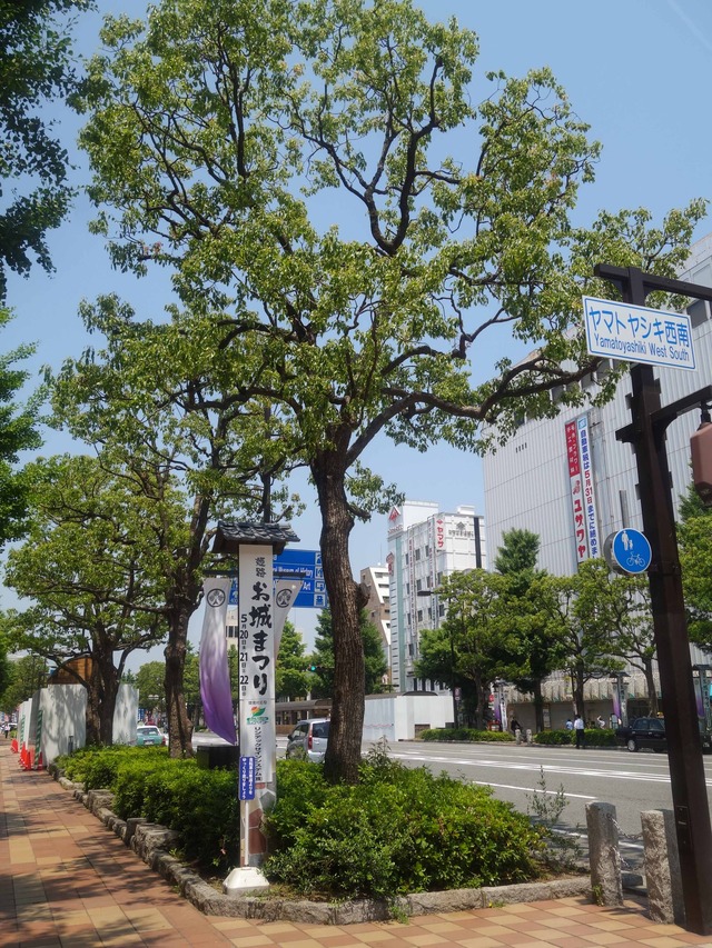 大手前通り 13_edit