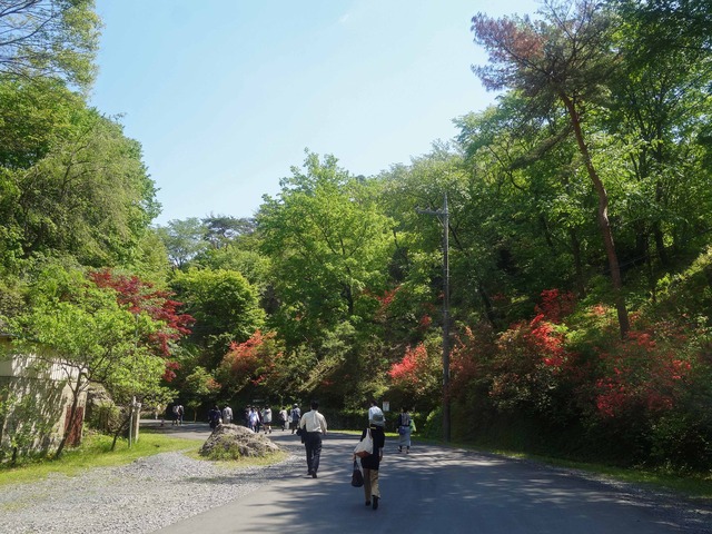 大谷資料館までの道のり 1_edit