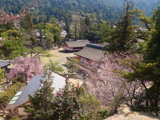 塔の岡から厳島神社を望む 2_edit