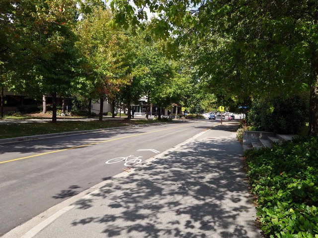 School of Population & Public Health の前_edit