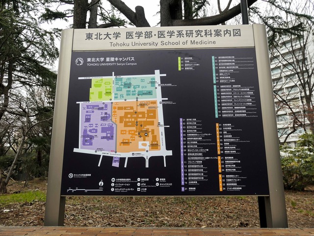 東北大学 星陵キャンパス Vol 2 仙台市青葉区 食と旅とウォンバットを愛でる日々