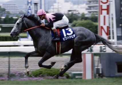 競馬 名馬 ビワハヤヒデ 永眠 30歳 1993年度jra年度代表馬 ばーど 最強ギャンブル 投資総合まとめ 億り人
