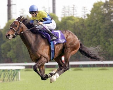 魅せる おまえら走るフォームが好きな馬 最強ギャンブル 投資総合まとめ 億り人