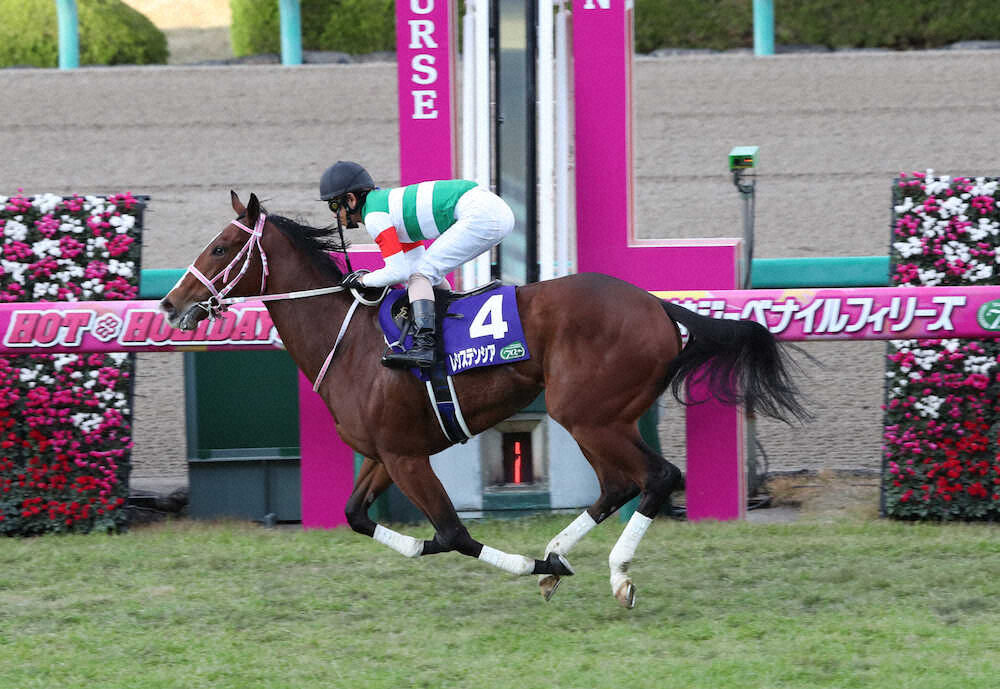 最強ギャンブル 投資総合まとめ 億り人