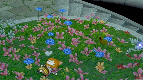 2024年09月06日 19時45分43秒