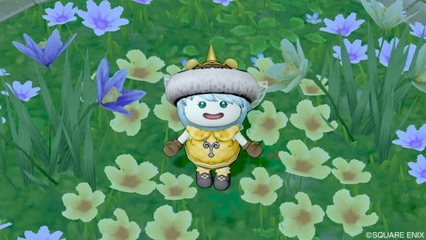 2020年01月17日 01時09分57秒