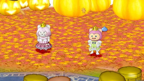 2023年10月28日 11時09分25秒