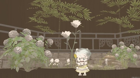 2024年06月16日 01時48分50秒