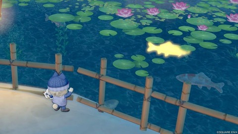 2024年01月11日 20時58分48秒