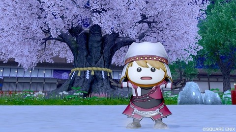 2021年09月17日 20時08分48秒