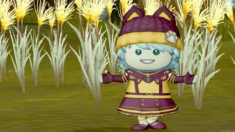 2026年01月18日 11時52分33秒