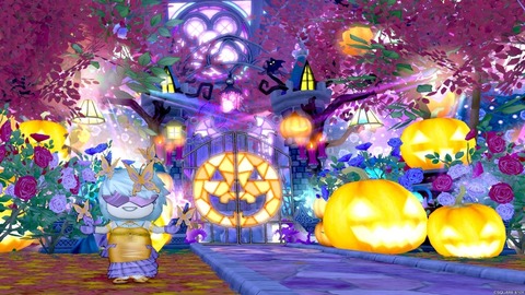 2023年11月09日 18時10分57秒