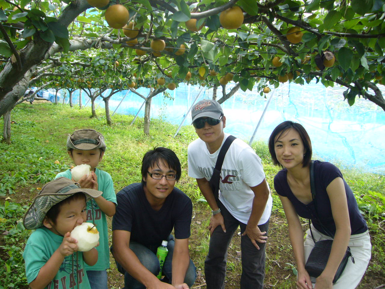 青木晃のアンチエイジング日記 その他