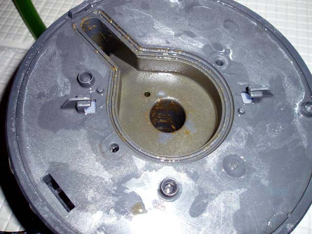 外部フィルターから異音が 我が家の金魚たち