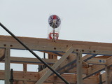 DSCF0534