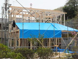 DSCF0535