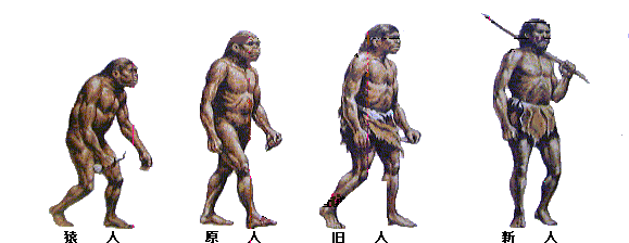 文明のおこり やさしい歴史学習