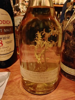 IMG01212_HDR