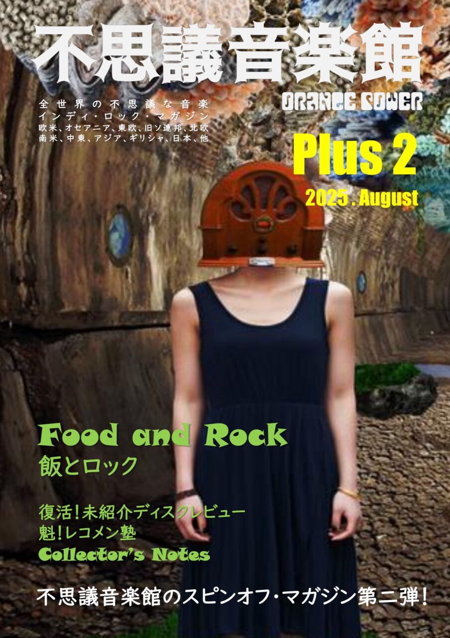 書籍】噂のインディーズ・マガジン最新刊『不思議音楽館 Plus2