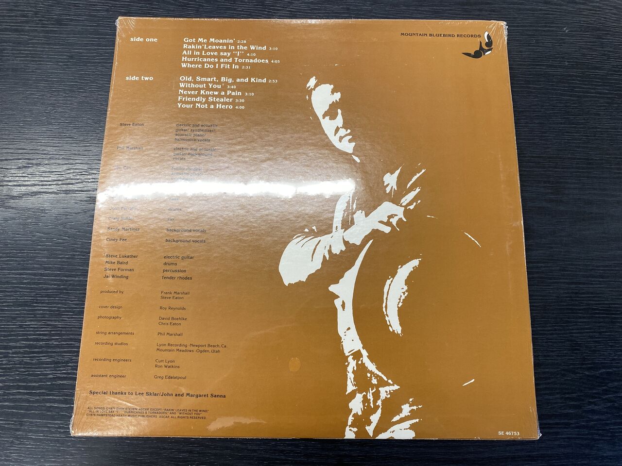 奇跡】米初版デッドストックを発掘！Steve Eatonの2ndアルバムを格安に