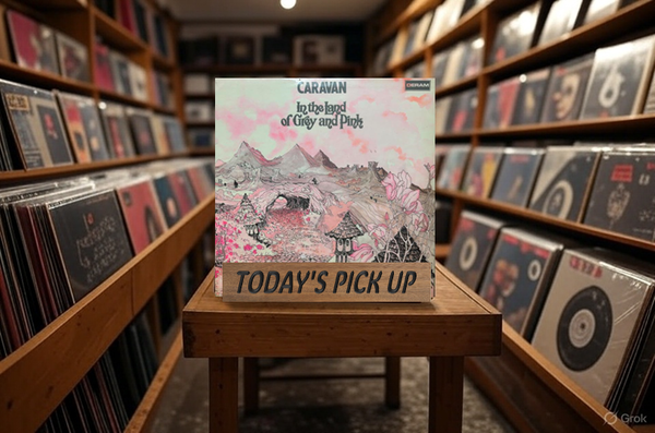 中古　バラ売り不可　プログレ　プログレッシブロック　ＣＤ　まとめて　まとめ売り IMG_3816-768x1024.jpg