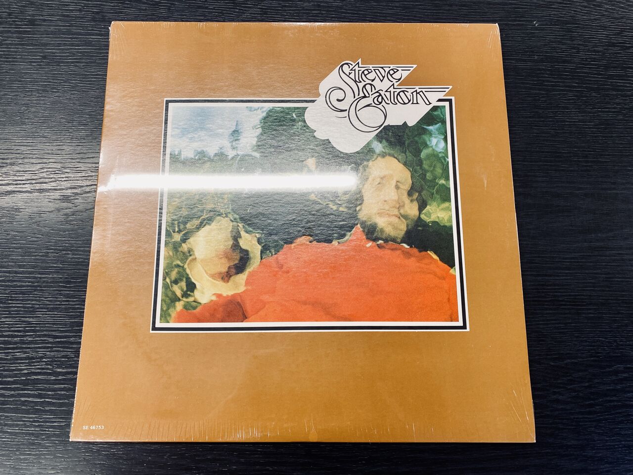 奇跡】米初版デッドストックを発掘！Steve Eatonの2ndアルバムを格安に