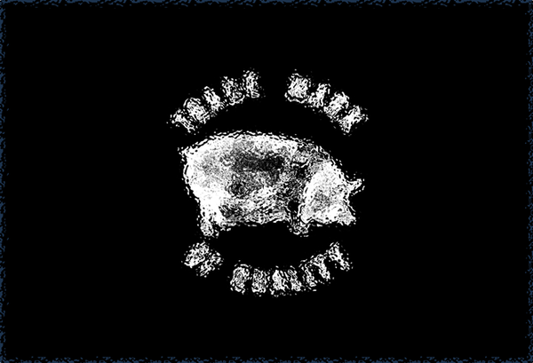 中古】〇〇〇のレコードをまとめて投入しました : ディスクユニオン