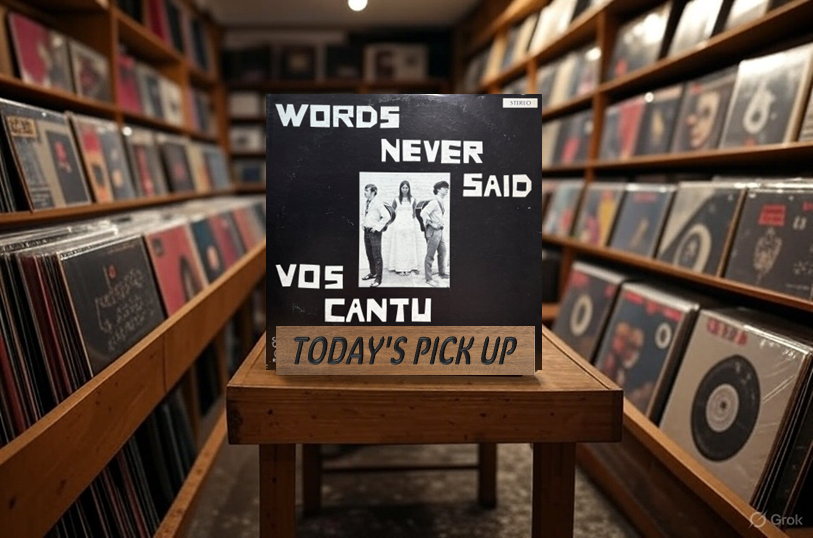 本日の一枚】今年最後の一枚③ ～ 年末らしいアメリカン・サイデリック